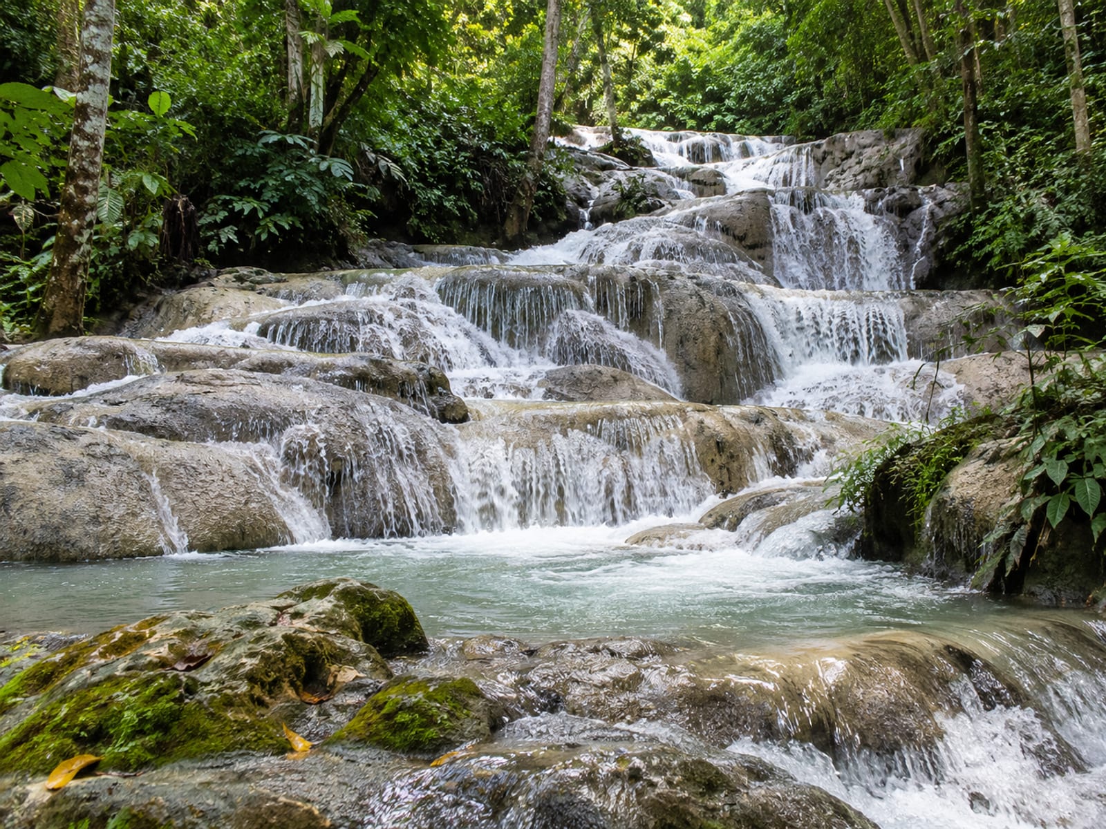 Water cascading over a tiered limestone waterfall into a tropical forest