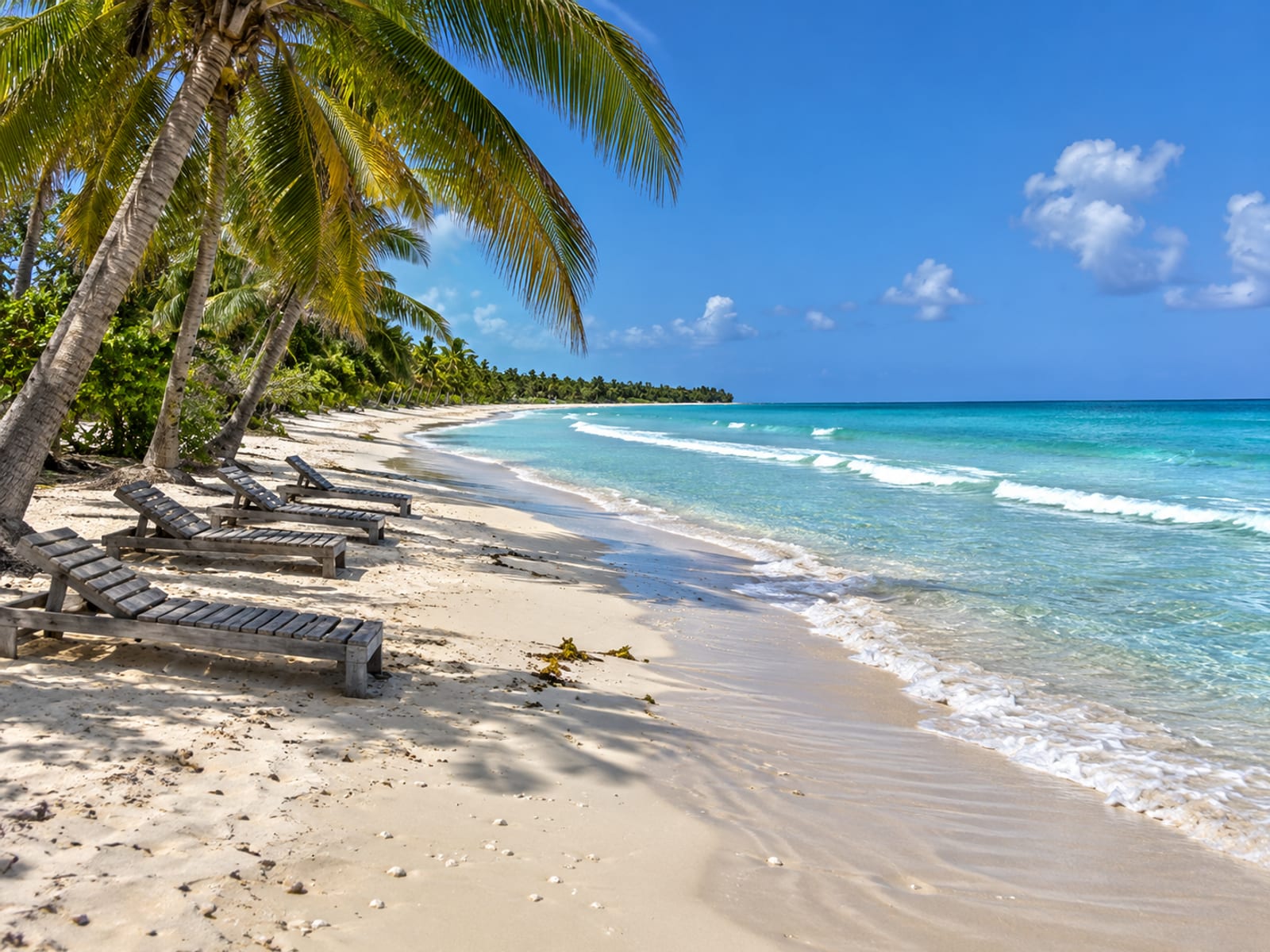 A wide sandy Caribbean beach with empty loungers under palm trees in daylight
