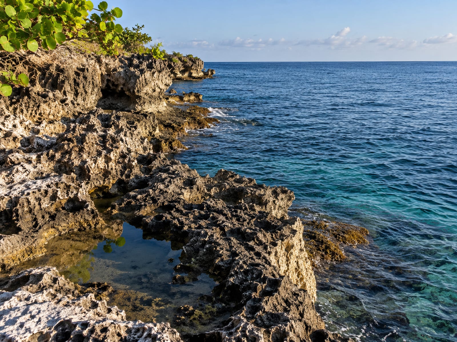 Calm blue water lapping against dark limestone rocks along a Negril shoreline