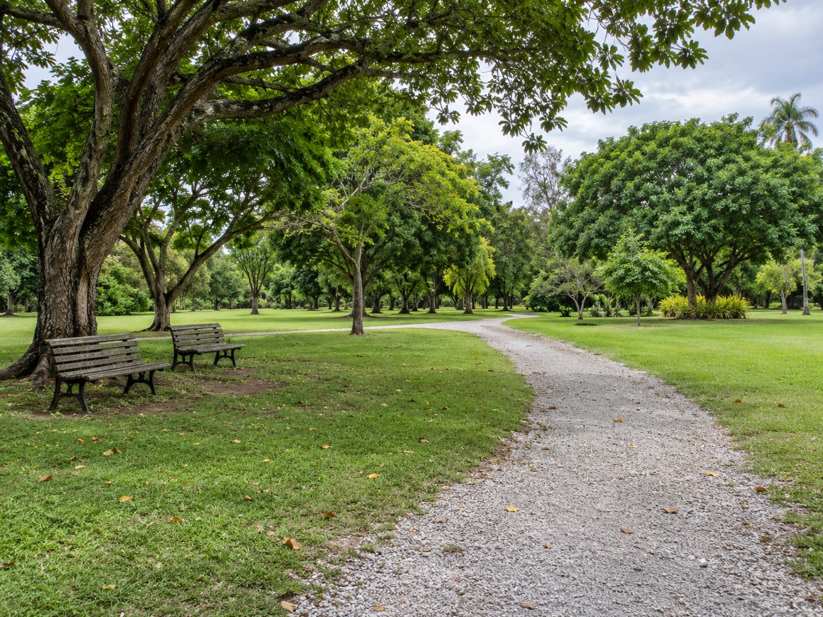 A wide green lawn edged with shade trees and a gravel path in daylight