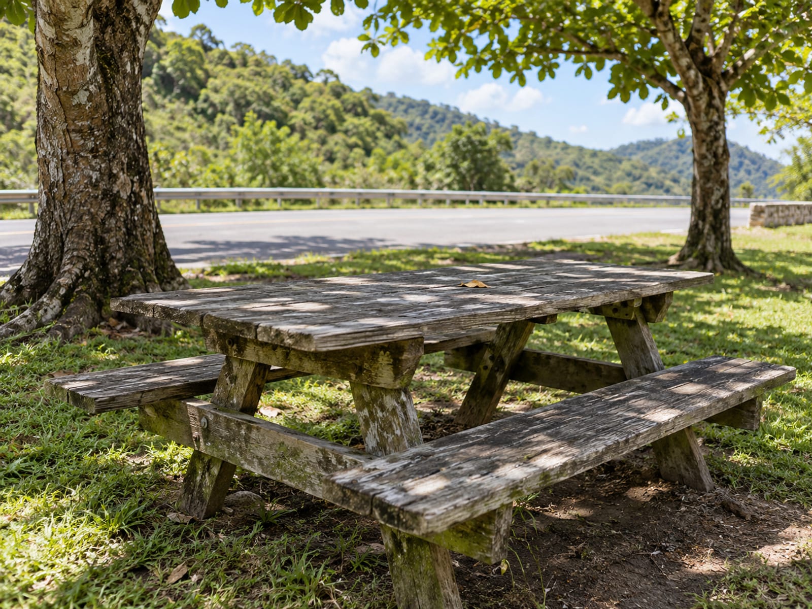 A quiet picnic table under shade trees beside a highway