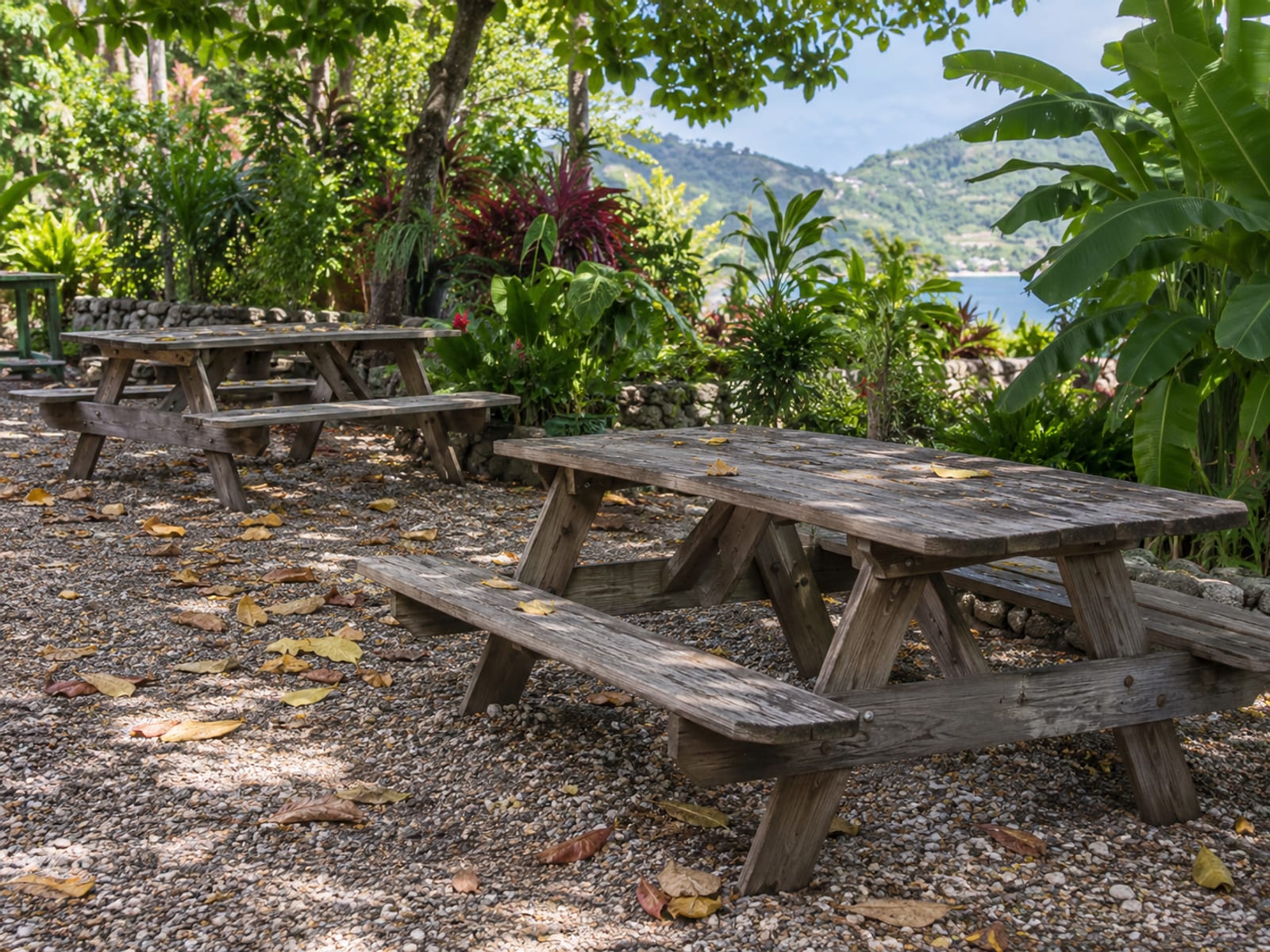 Empty wooden picnic tables in dappled shade beside a tropical garden