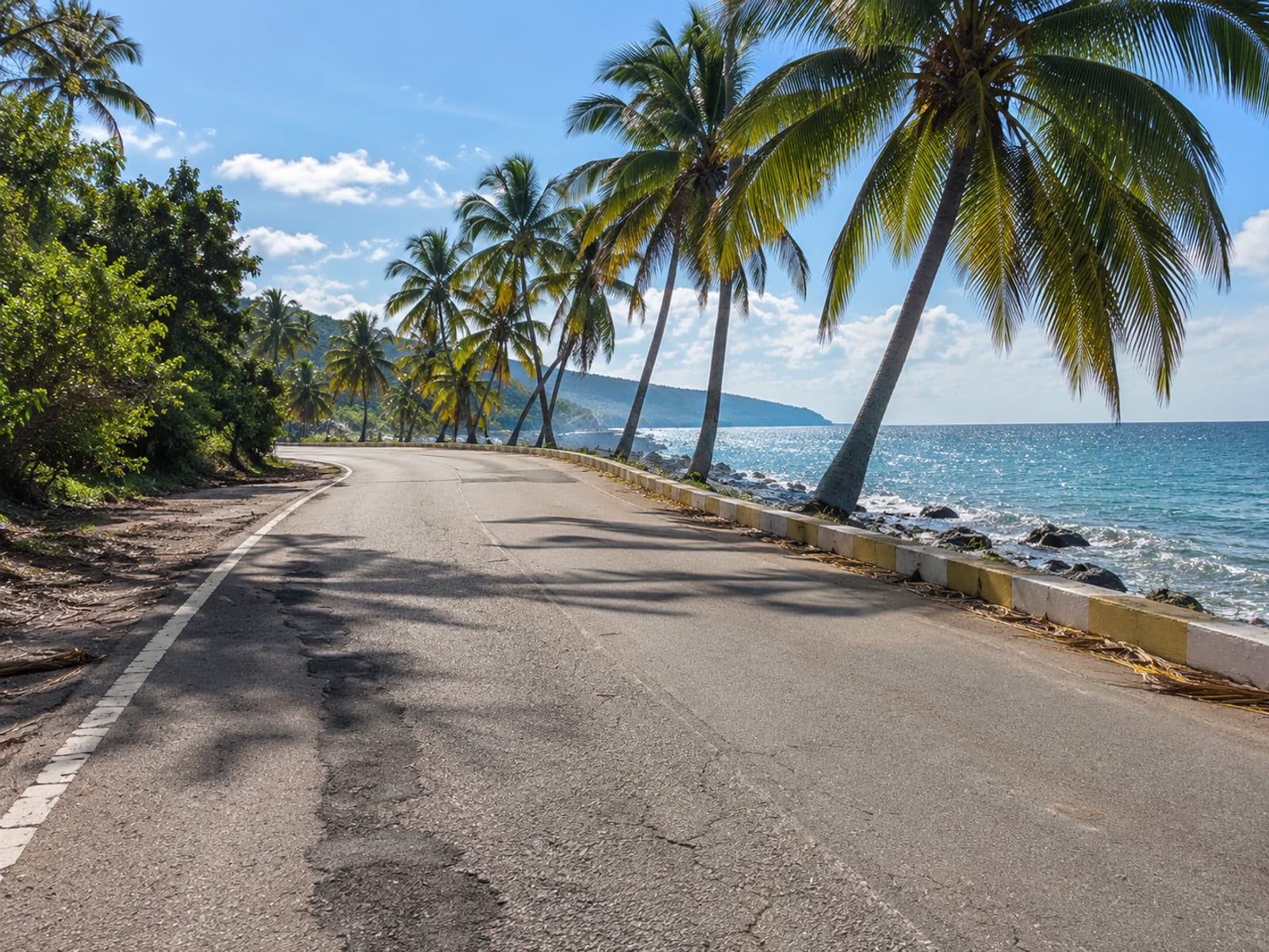 A coastal road lined with palm trees running beside the sea under a bright sky