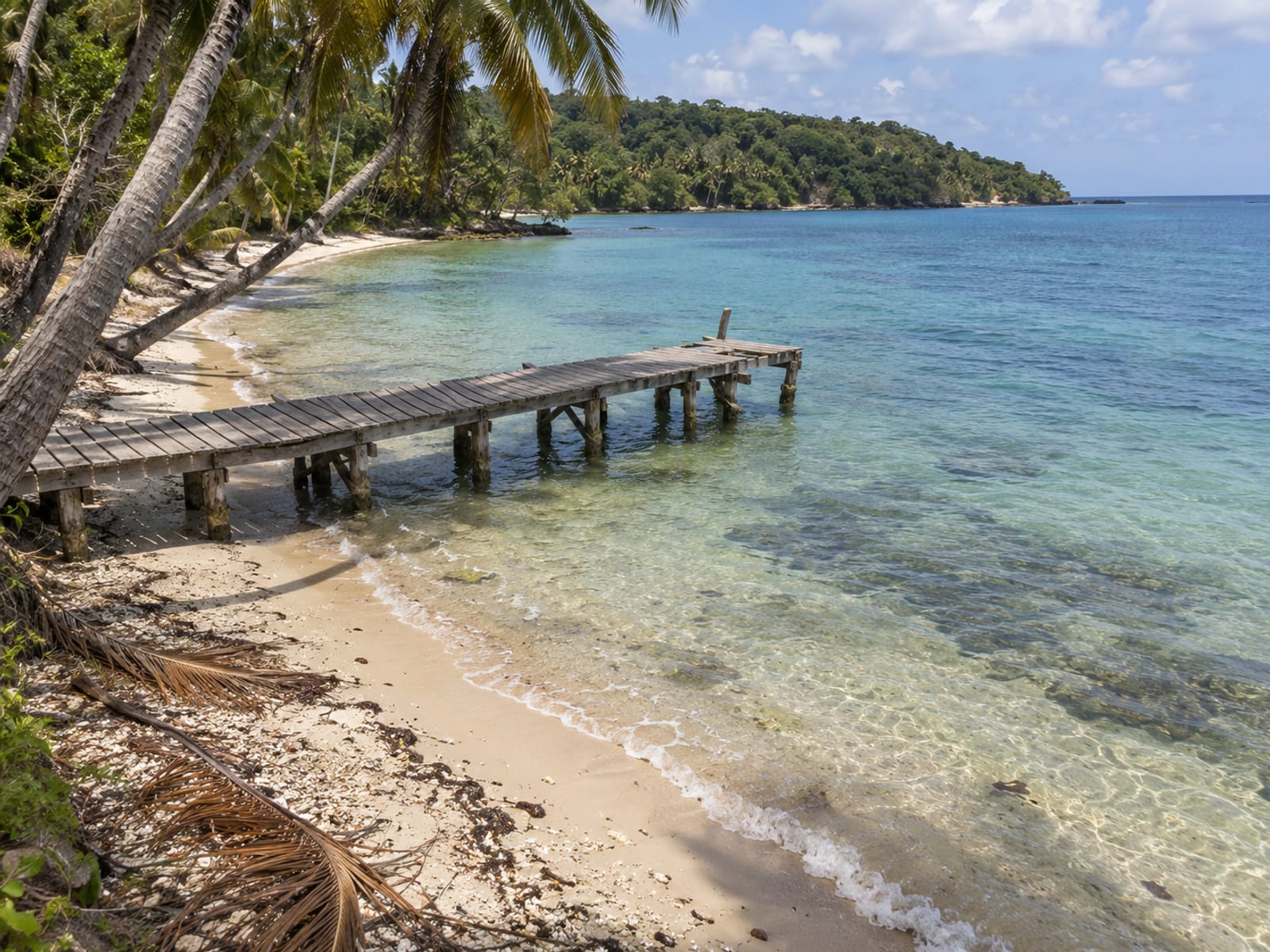 A blue-green Caribbean bay with a cruise pier and palm trees along the shore