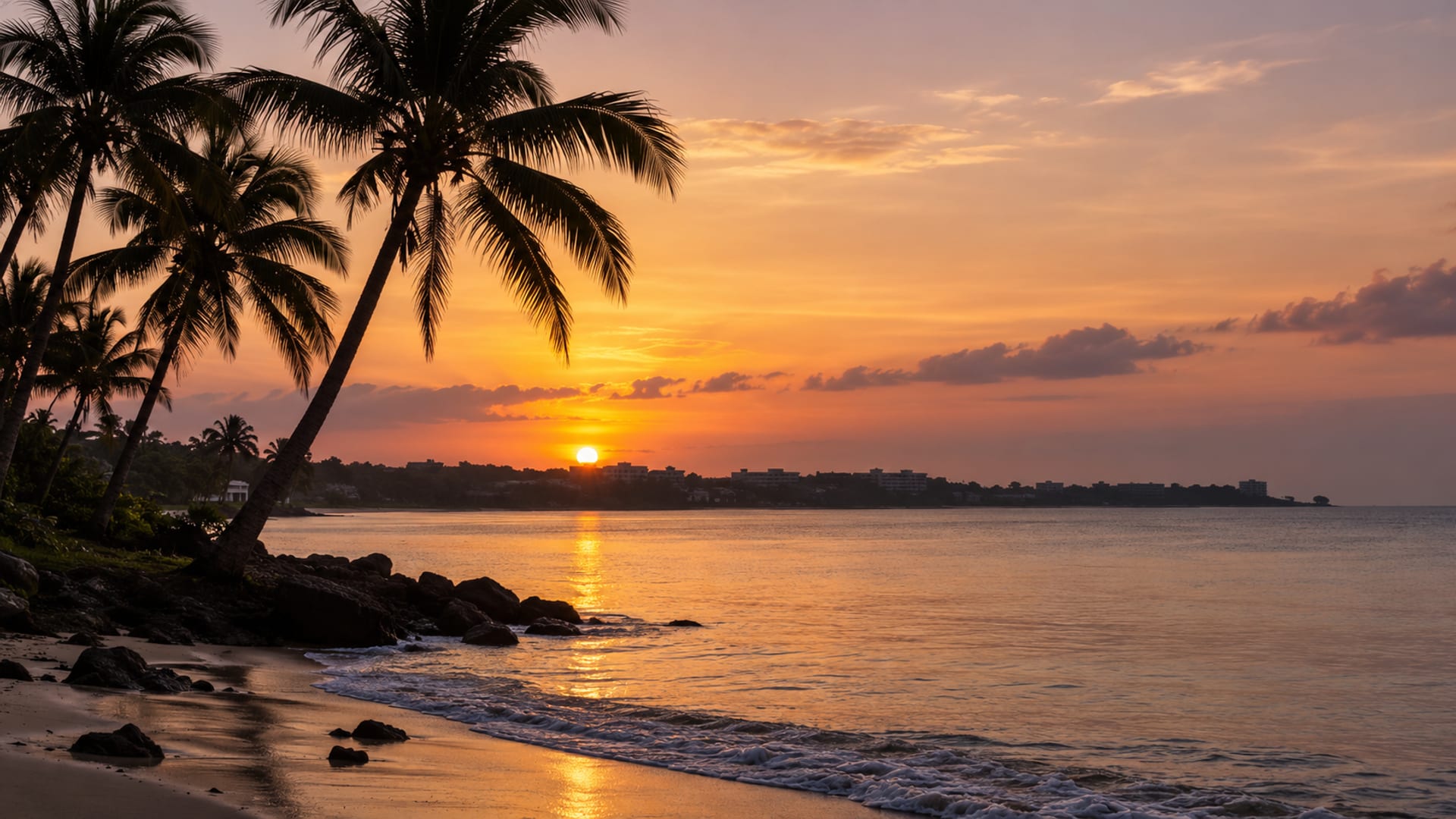 Palm silhouettes against a golden sunset over a calm bay on the Montego Bay coast