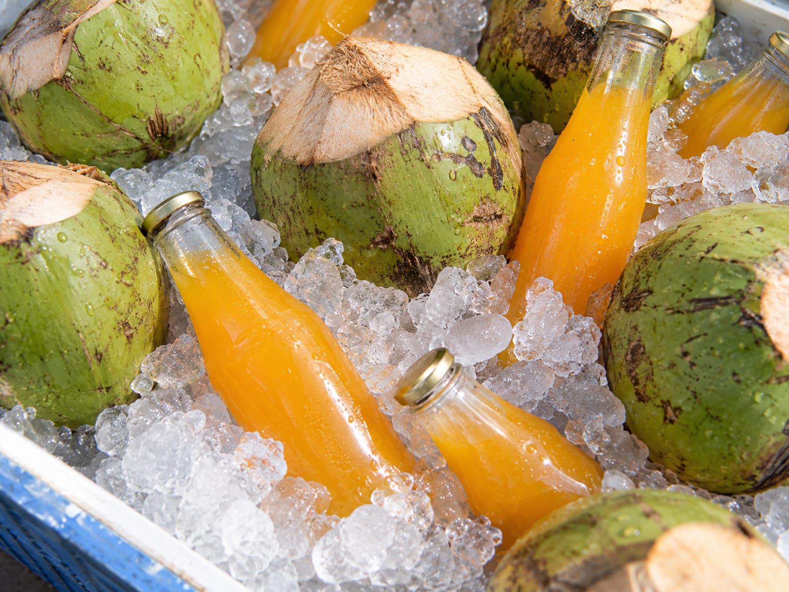Green coconuts and glass bottles of juice on crushed ice