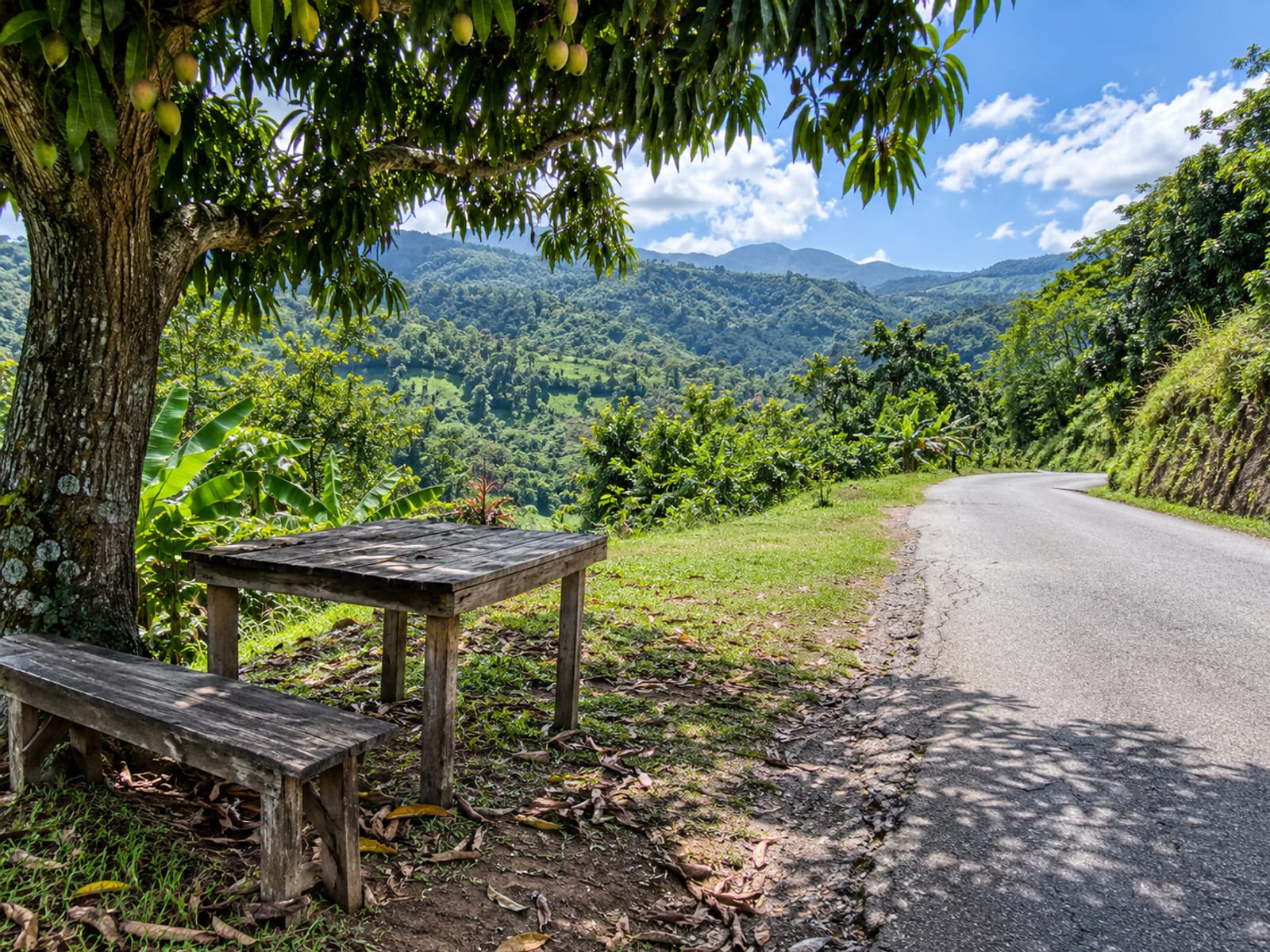 A winding country road through green hills with a roadside fruit and food stall table