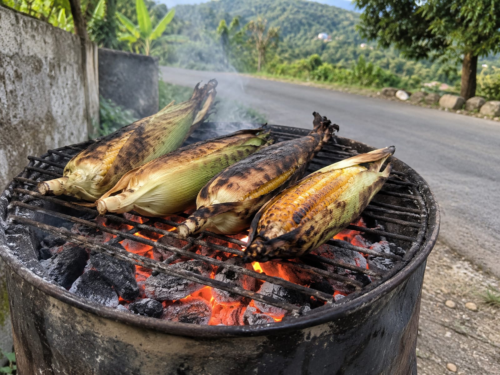 Ears of corn roasting on a charcoal grill beside a rural road