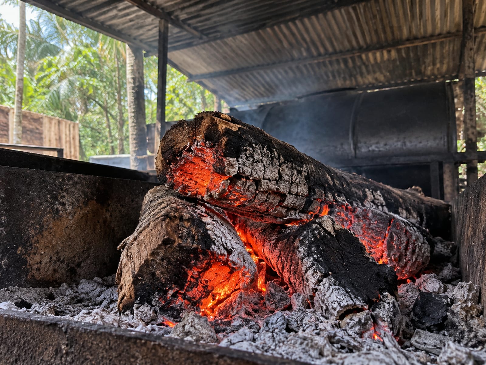 Split pimento logs burning down to glowing coals under a zinc roof