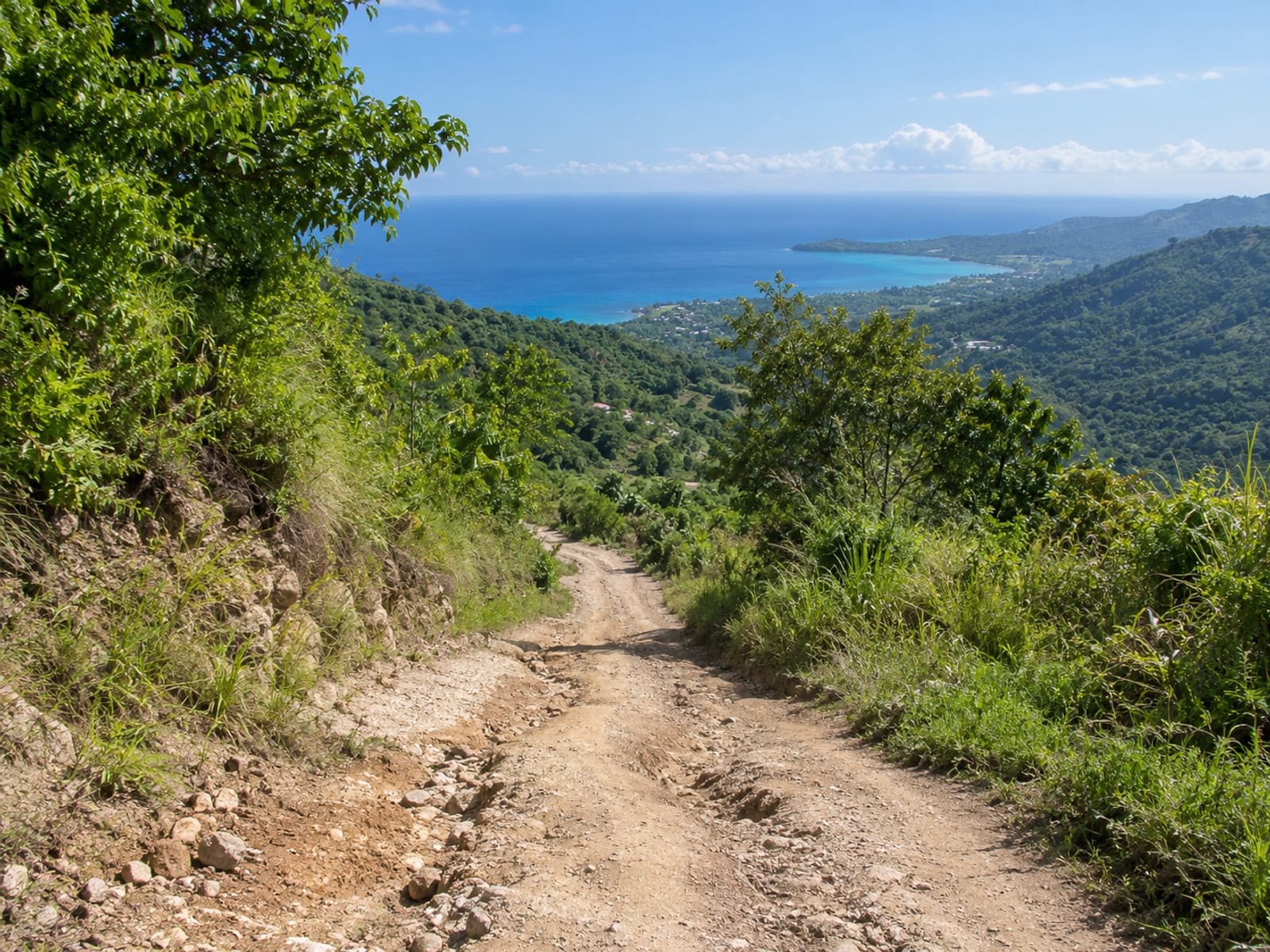 Steep road winding down green hills toward the south coast sea