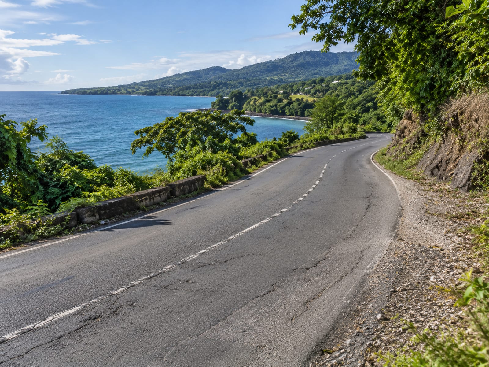 A coastal road curving along a green Jamaican shoreline in daylight