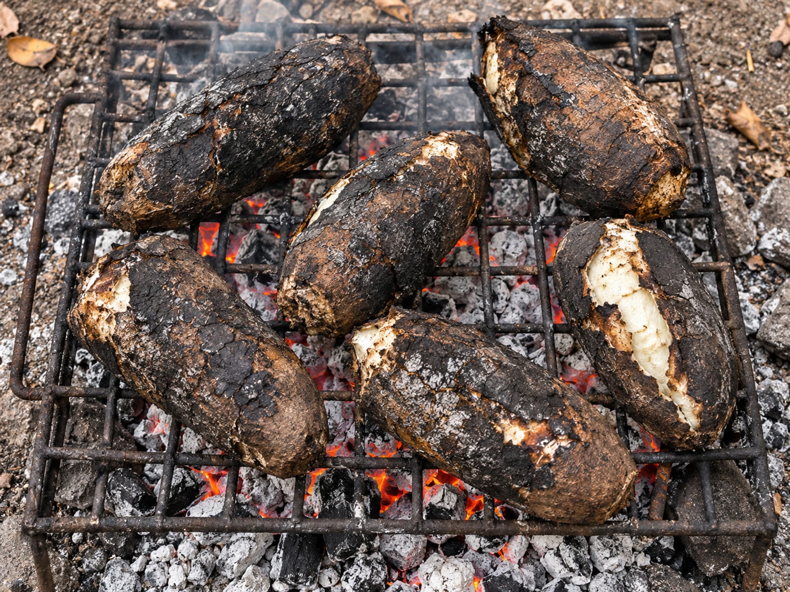 Whole yams roasting in their skins over a glowing coal fire
