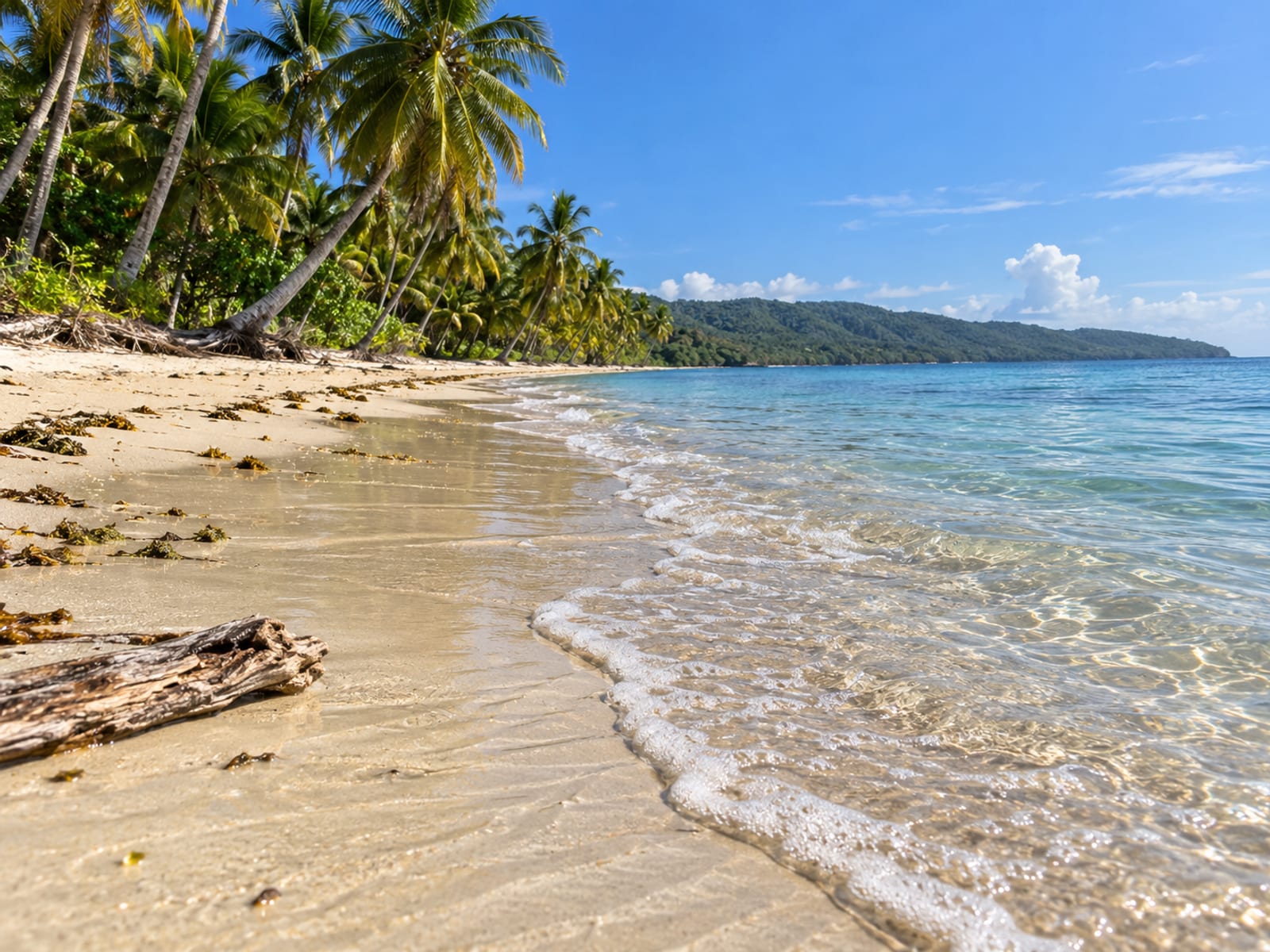 Calm sea washing onto a pale sand beach lined with palm trees under a blue sky