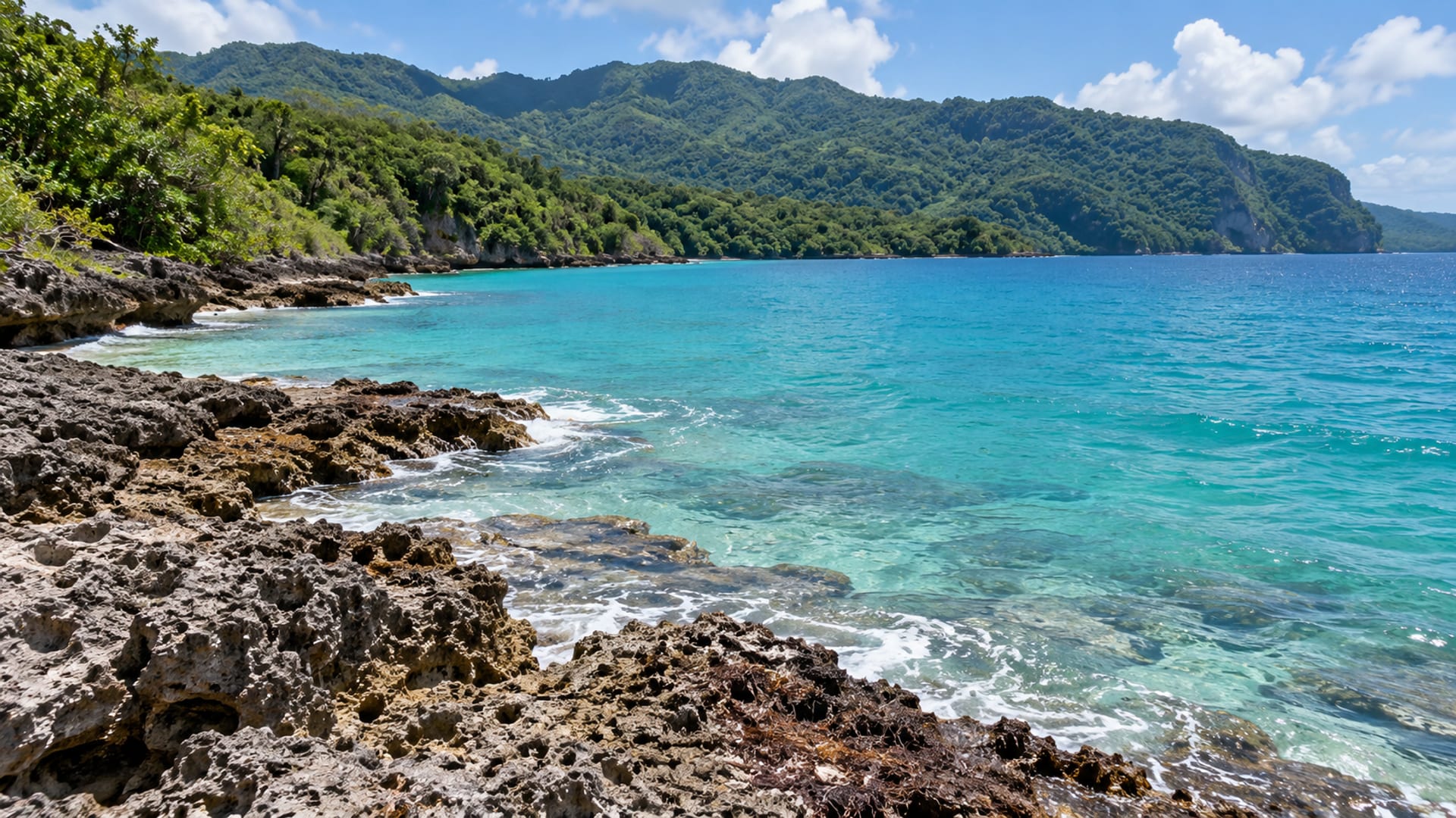 Turquoise bay and green hills along Jamaica's north coast