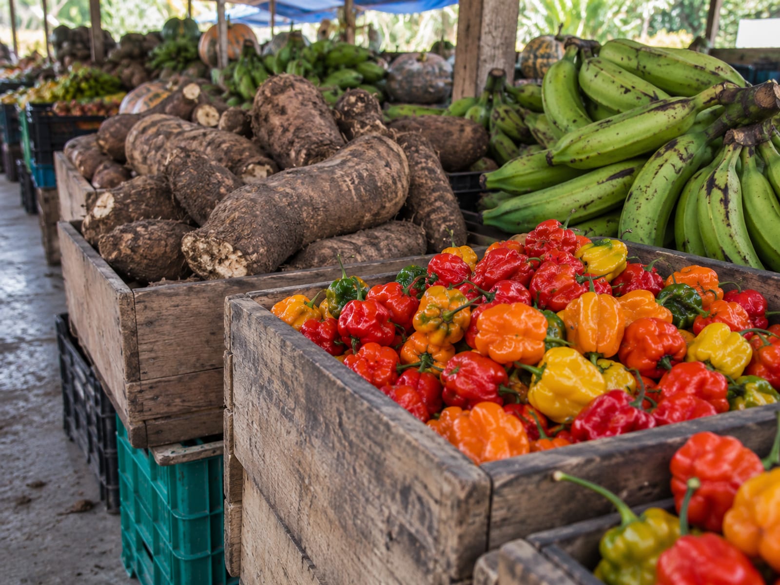 Crates of fresh yam, plantain and peppers stacked at a market stall