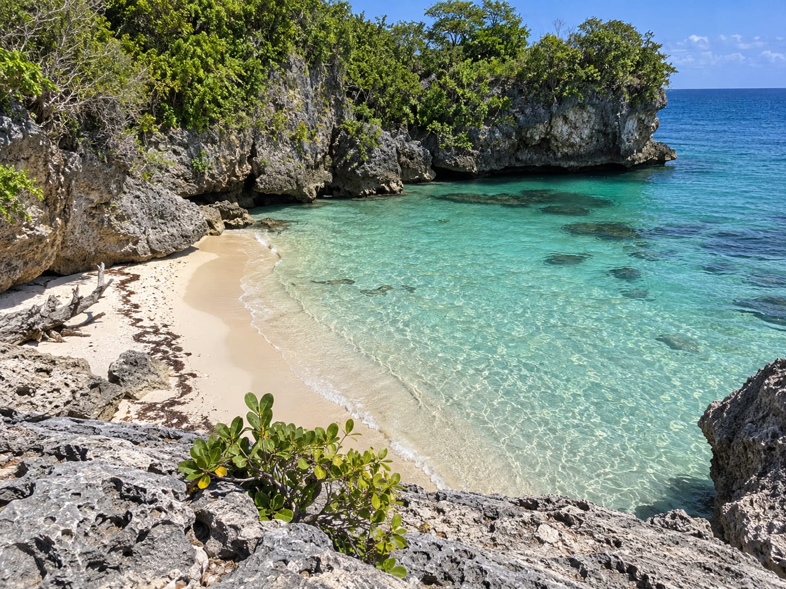 A calm cove with pale sand and clear shallow water on Jamaica's north coast