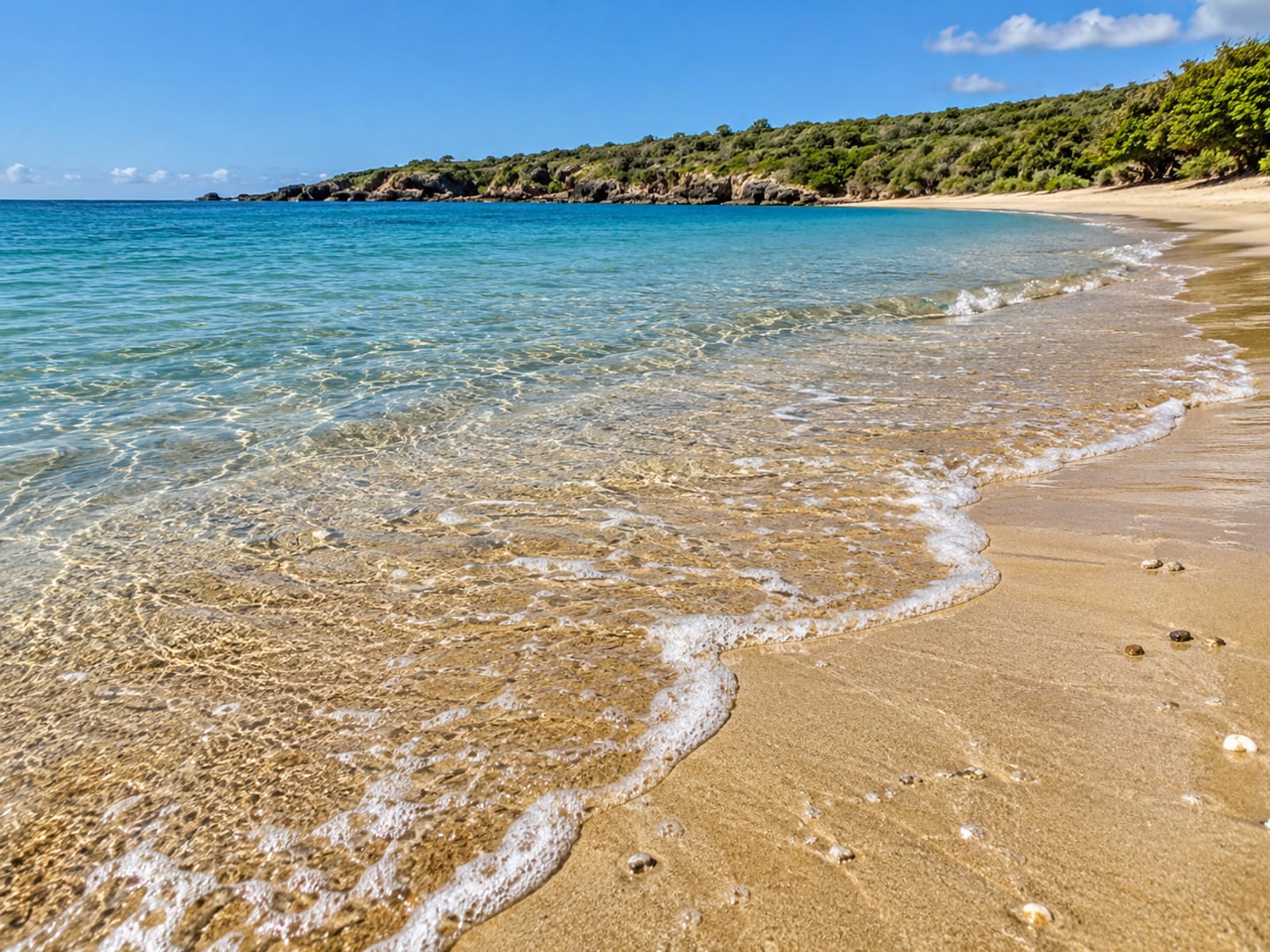 Gentle waves rolling onto a quiet curved bay with clear shallow water